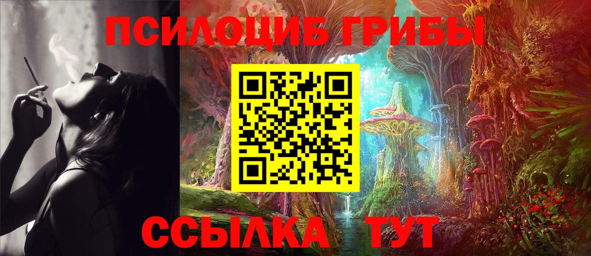 Туймазы  Псилоцибиновые грибы мухоморы  Вход с VPN  Галлюциногенные грибы Cubensis 